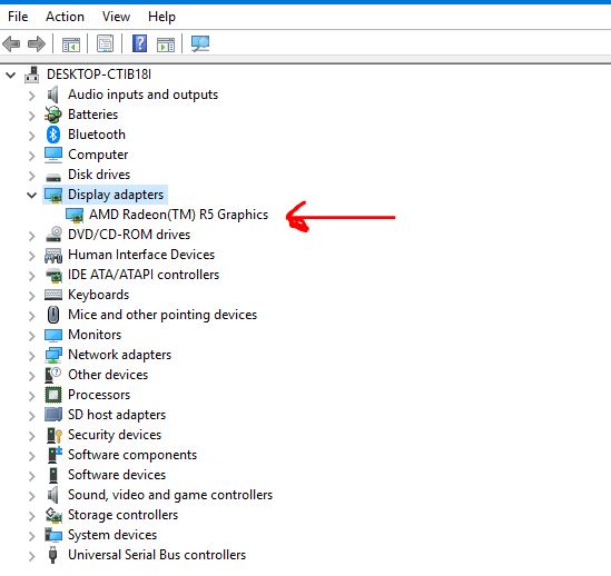 Display adapters listed in Windows Device Manager